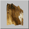 105.gif