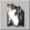 52.gif
