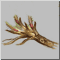 78.gif