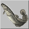 f14.gif