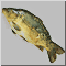 f3.gif