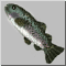 f5.gif
