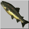 f6.gif