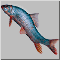 f8.gif